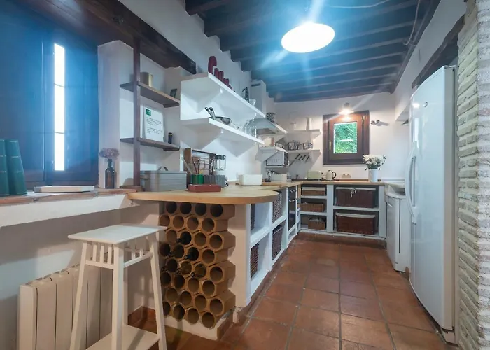 Patio Del Olivo * 格拉纳达